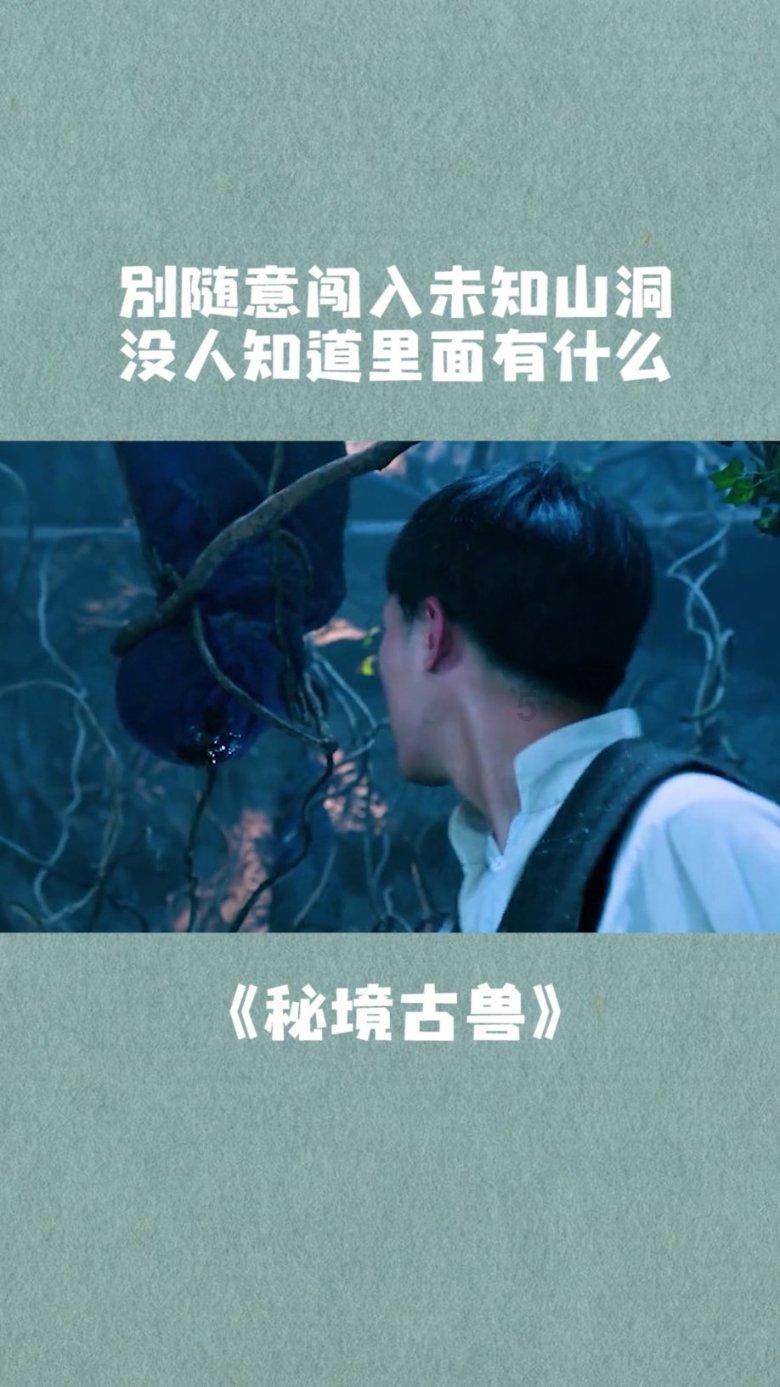 乐儿七巧板